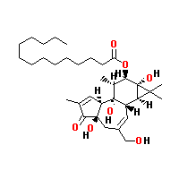 20839-06-9Ľṹʽ