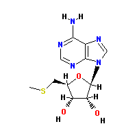 2457-80-9Ľṹʽ