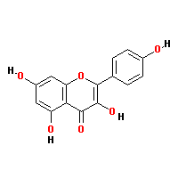 520-18-3Ľṹʽ