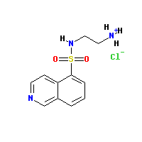 116970-50-4Ľṹʽ