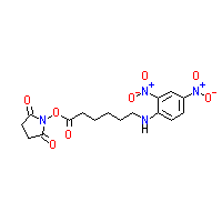 82321-04-8Ľṹʽ